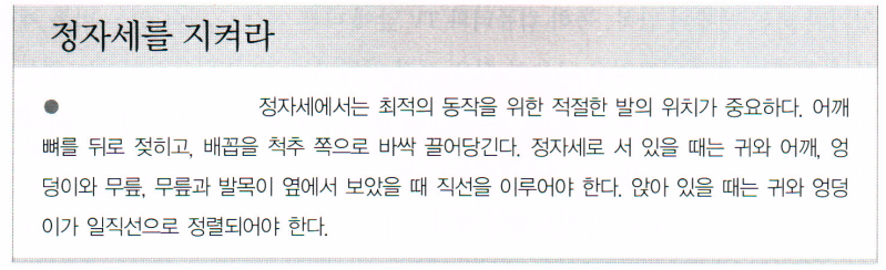 perfect_posture.png perfect_posture.png